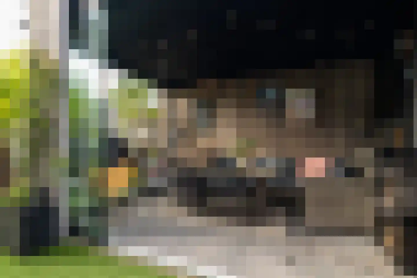 Weversweg 2 Hulshorst thumbnail 11