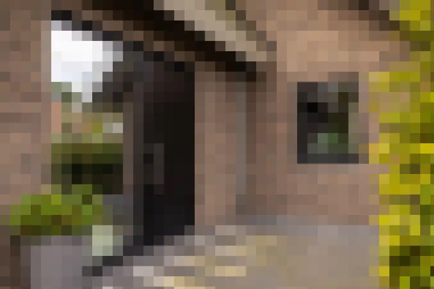Weversweg 2 Hulshorst thumbnail 14