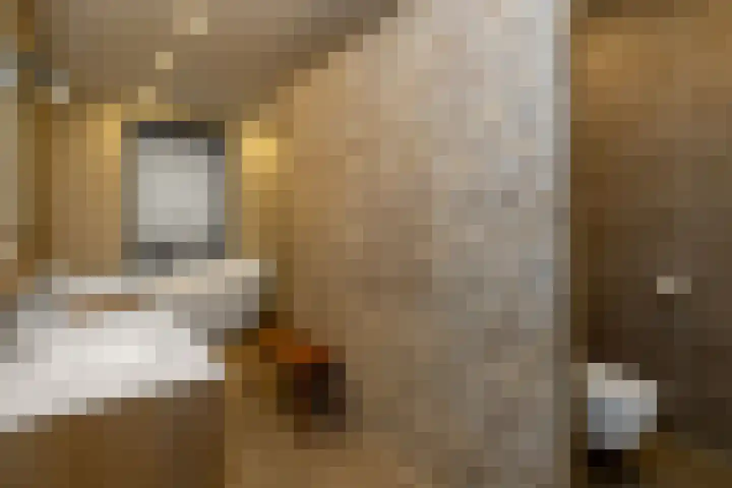Weversweg 2 Hulshorst thumbnail 38