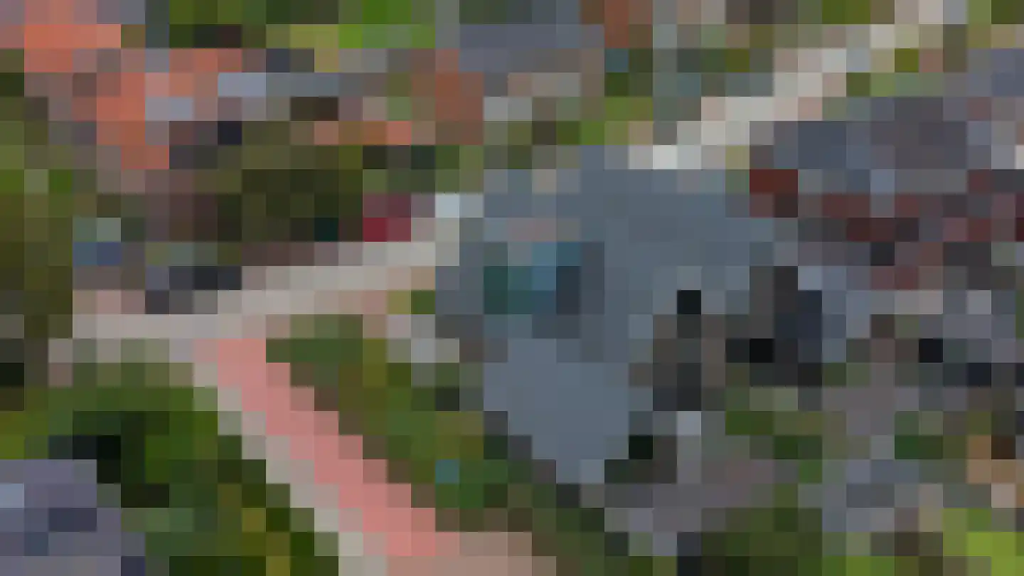 Weversweg 2 Hulshorst thumbnail 5