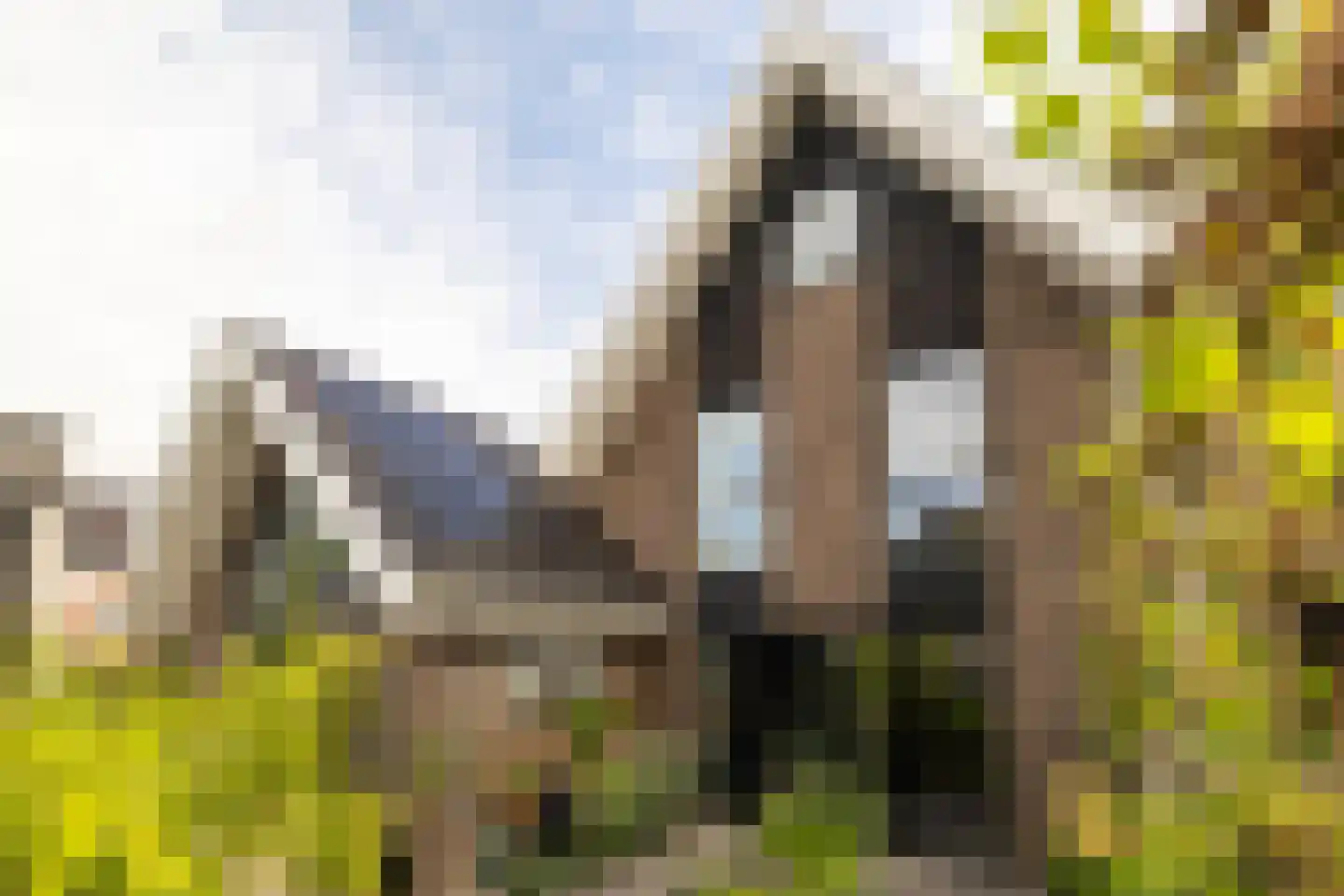 Weversweg 2 Hulshorst thumbnail 53