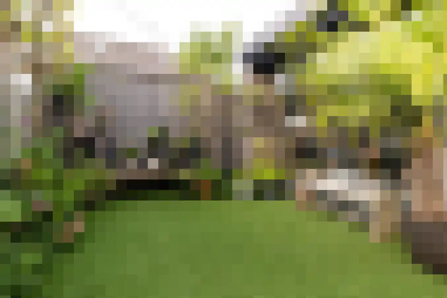 Weversweg 2 Hulshorst thumbnail 7