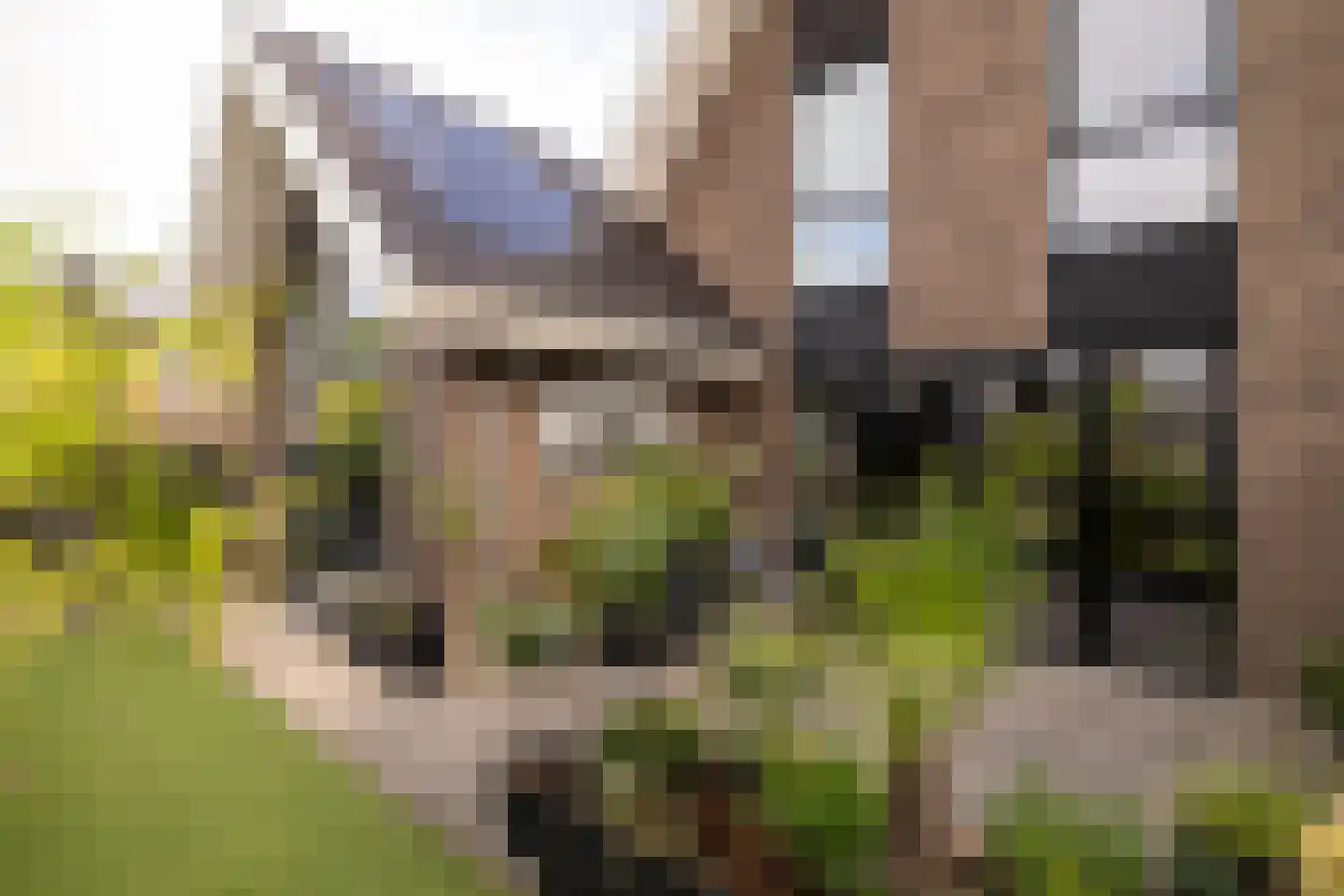 Weversweg 2 Hulshorst thumbnail 8
