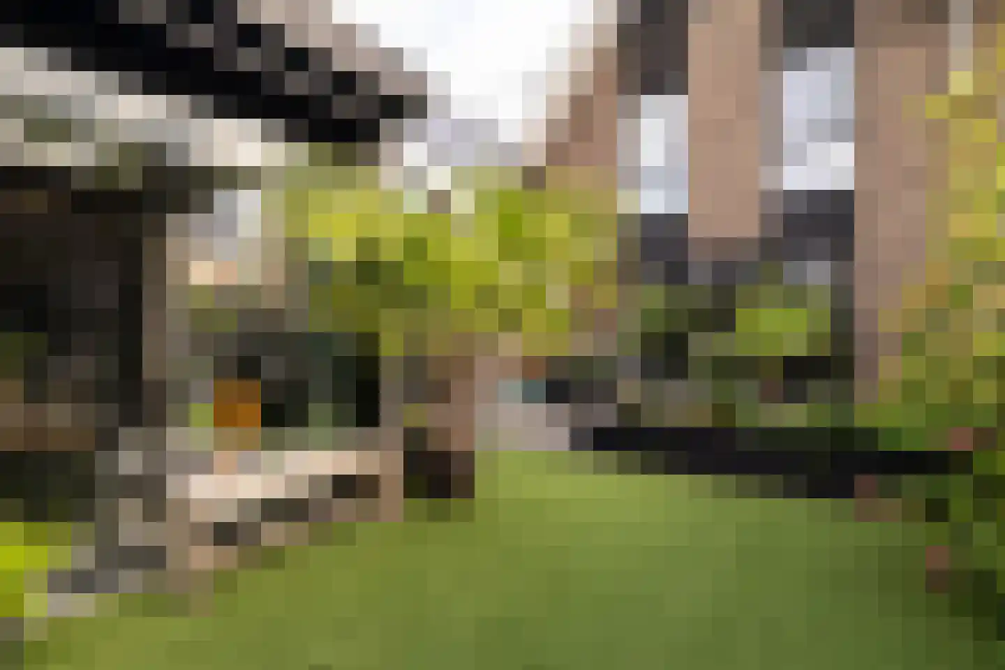 Weversweg 2 Hulshorst thumbnail 9