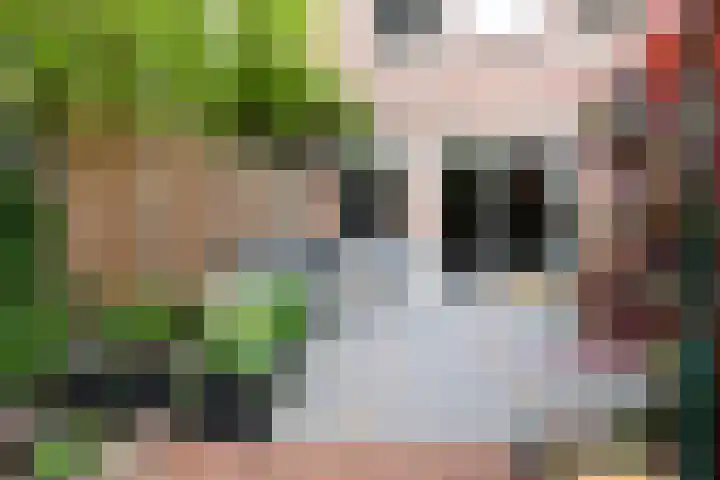 Weversweg 24 Hilversum thumbnail 17