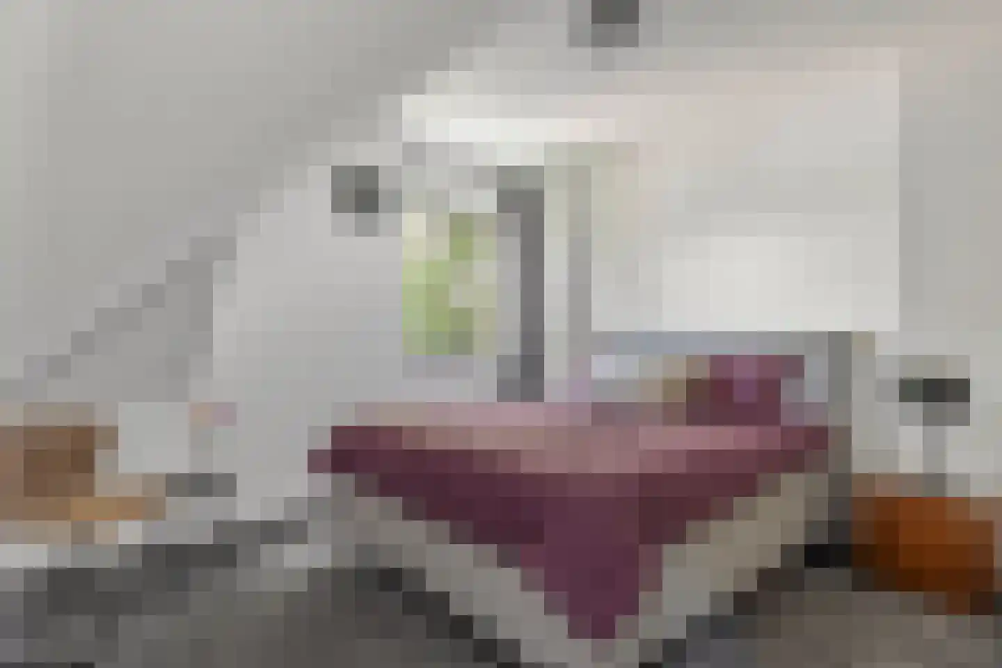 Weversweg 25 Hengelo thumbnail 14