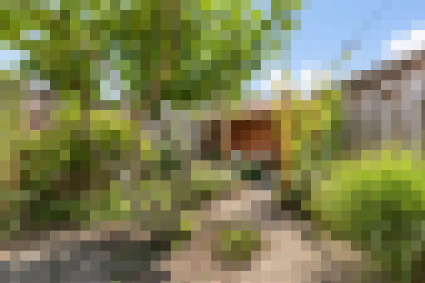 Weversweg 25 Hengelo thumbnail 19