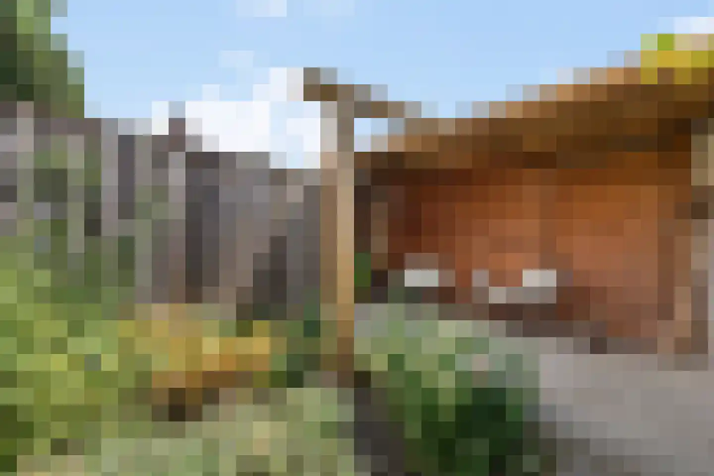 Weversweg 25 Hengelo thumbnail 20