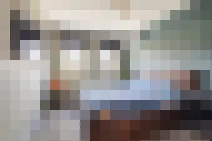 Weversweg 7 Helden thumbnail 13
