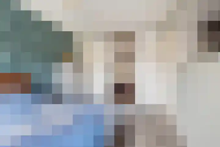 Weversweg 7 Helden thumbnail 14