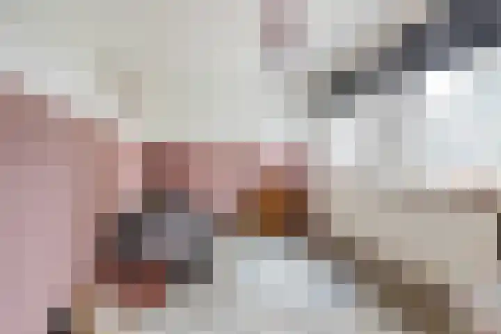 Weversweg 7 Helden thumbnail 15