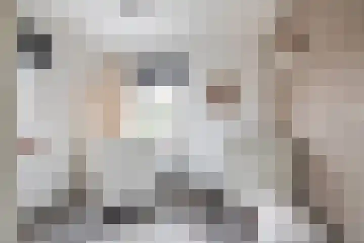 Weversweg 7 Helden thumbnail 17