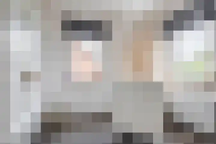 Weversweg 7 Helden thumbnail 18