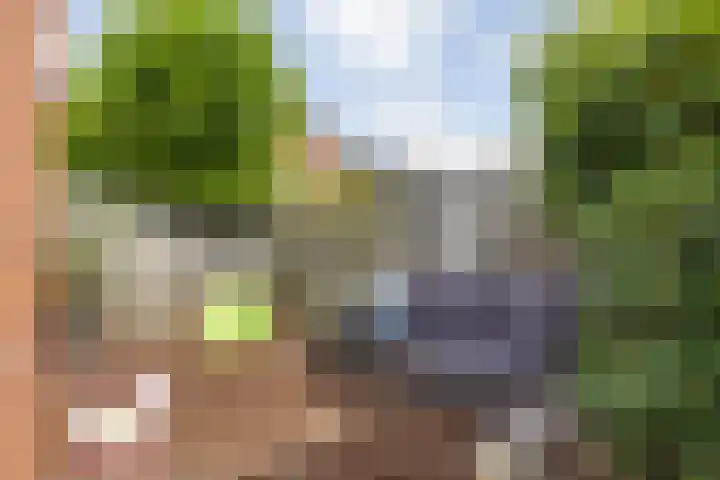 Weversweg 7 Helden thumbnail 25