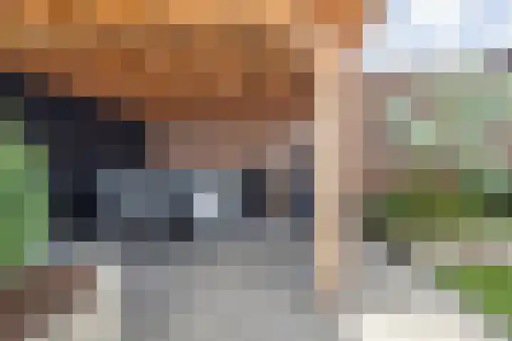 Weversweg 7 Helden thumbnail 26