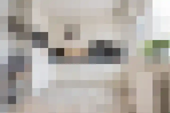 Weversweg 7 Helden thumbnail 8