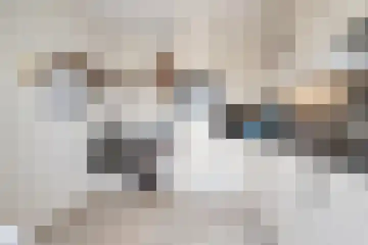 Weversweg 7 Helden thumbnail 9