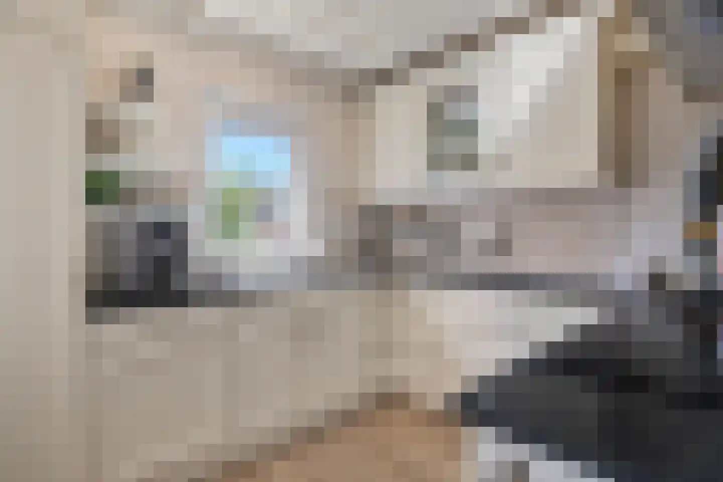 Weversweg 9 Helden thumbnail 12