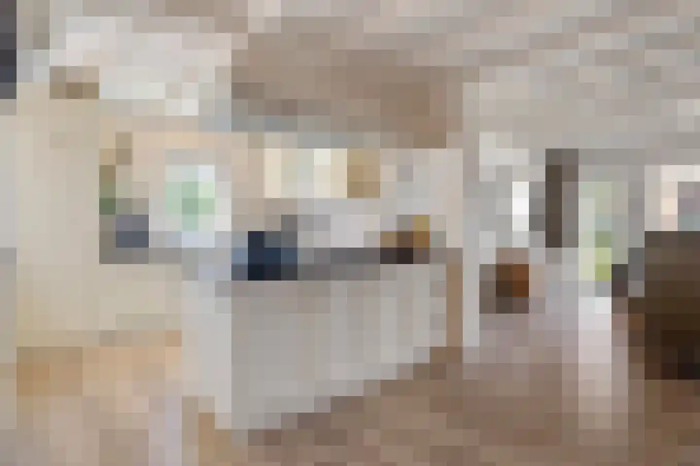Weversweg 9 Helden thumbnail 15
