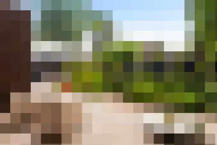 Weverweg 4 B Eerbeek thumbnail 18