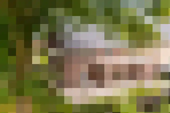 Weverweg 4 B Eerbeek thumbnail 30