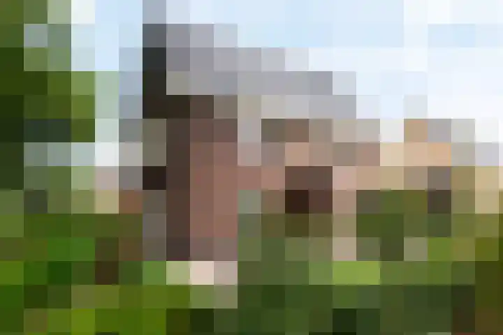 Weverweg 4 B Eerbeek thumbnail 31