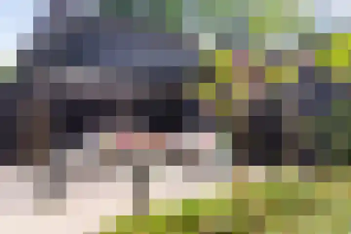 Weverweg 4 B Eerbeek thumbnail 33