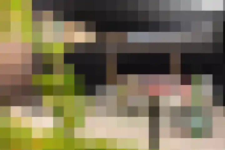 Weverweg 4 B Eerbeek thumbnail 34