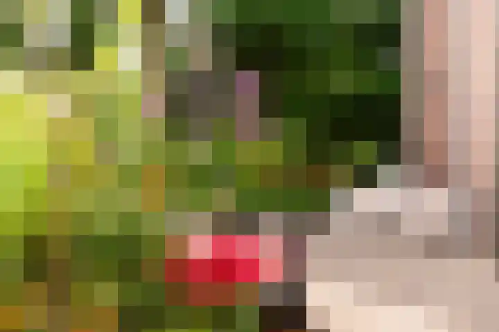 Weverweg 4 B Eerbeek thumbnail 36