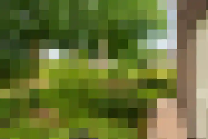 Weverweg 4 B Eerbeek thumbnail 37