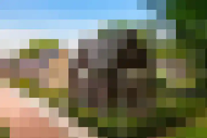 Weverweg 4 B Eerbeek thumbnail 38