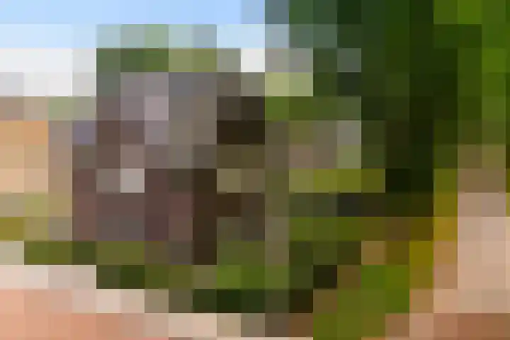 Weverweg 4 B Eerbeek thumbnail 40