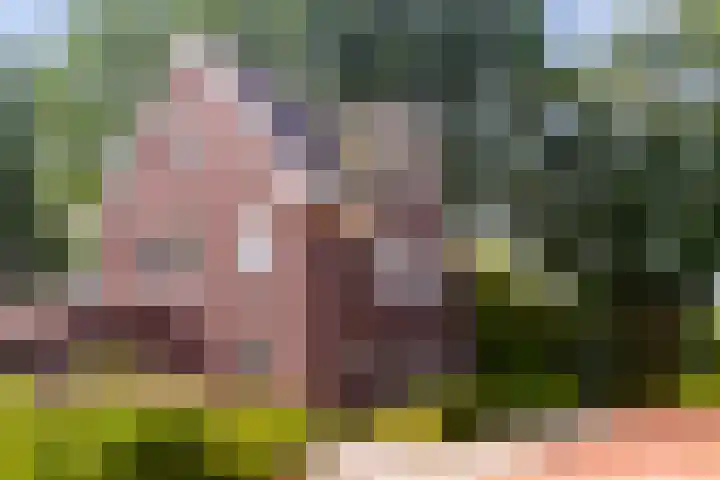 Weverweg 4 B Eerbeek thumbnail 42