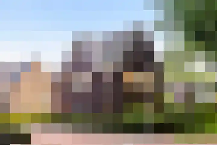 Weverweg 4 B Eerbeek thumbnail 47