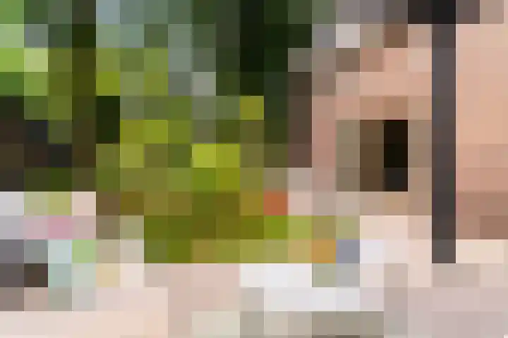 Weverweg 4 B Eerbeek thumbnail 5