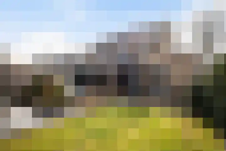 Weverweg 44 Eerbeek thumbnail 28