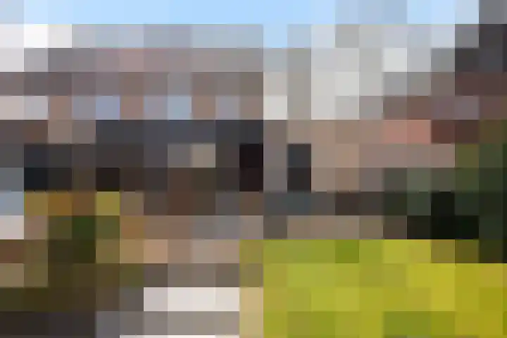 Weverweg 44 Eerbeek thumbnail 29