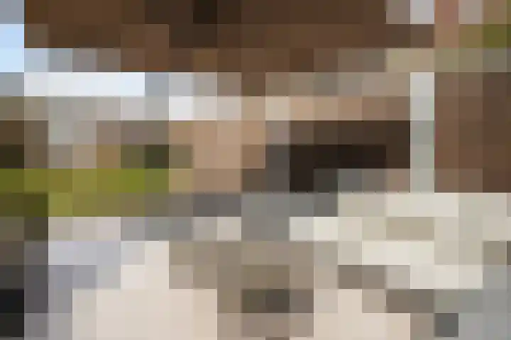 Weverweg 44 Eerbeek thumbnail 31