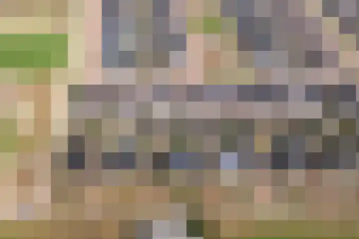 Weverweg 44 Eerbeek thumbnail 46
