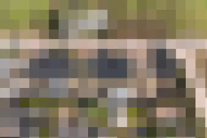 Weverweg 44 Eerbeek thumbnail 48