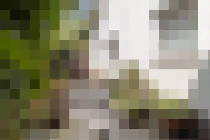 Wevestraat 17 Geleen thumbnail 23