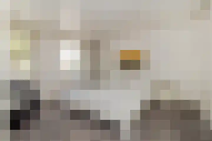 Wevestraat 17 Geleen thumbnail 30