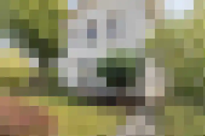 Wevestraat 17 Geleen thumbnail 4