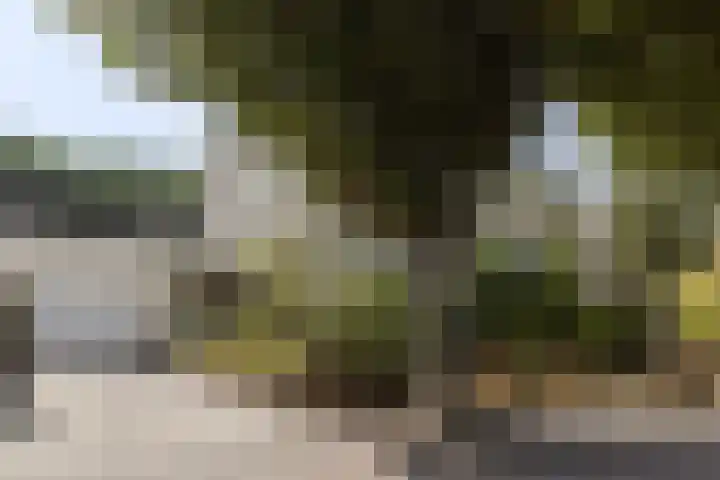 Wevestraat 17 Geleen thumbnail 48