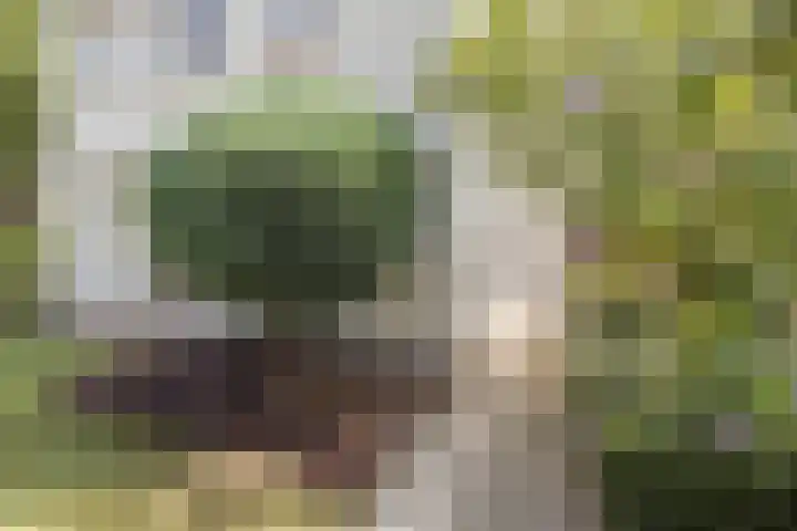 Wevestraat 17 Geleen thumbnail 5