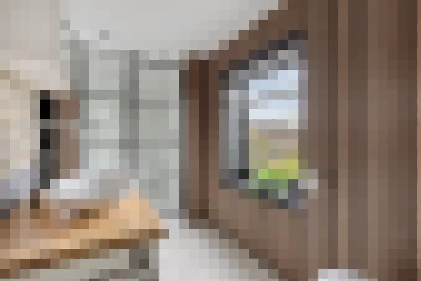 Wevestraat 60 Helmond thumbnail 37