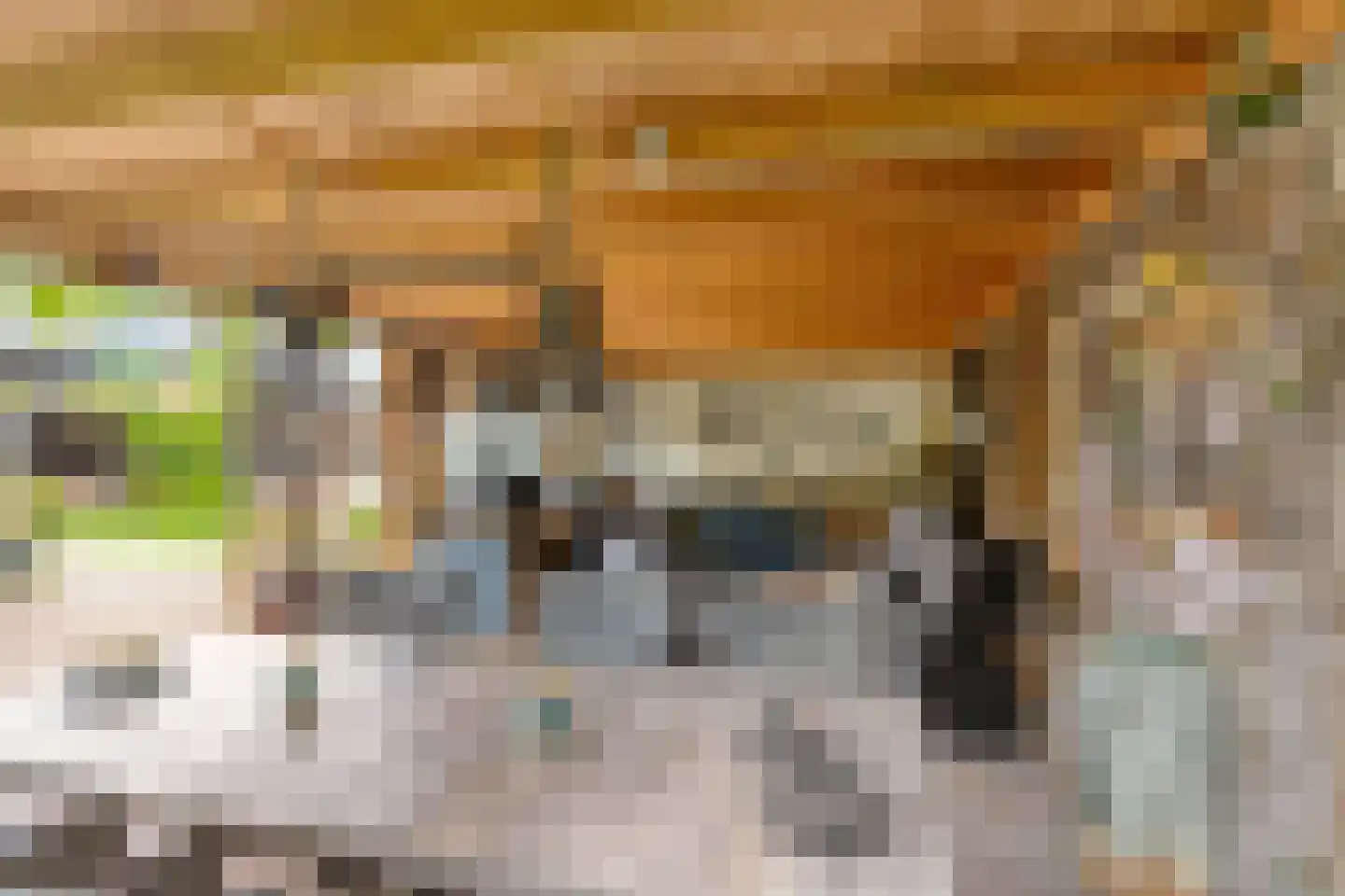 Wevestraat 60 Helmond thumbnail 57