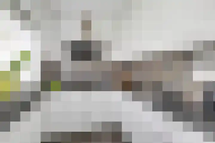 Weyerland 105 Rockanje thumbnail 14
