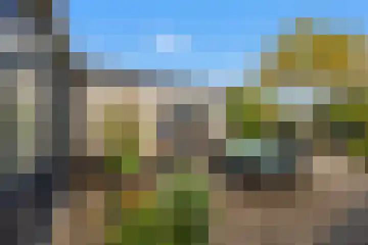 Weyerland 105 Rockanje thumbnail 24
