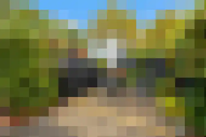Weyerland 105 Rockanje thumbnail 26